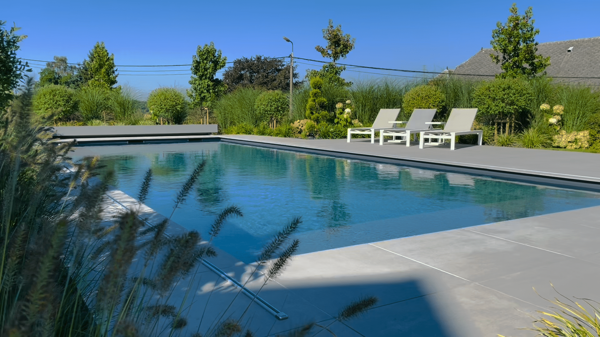 Piscine creusée en plein soleil au milieu de verdure